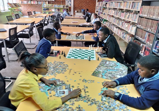 Public Library Services